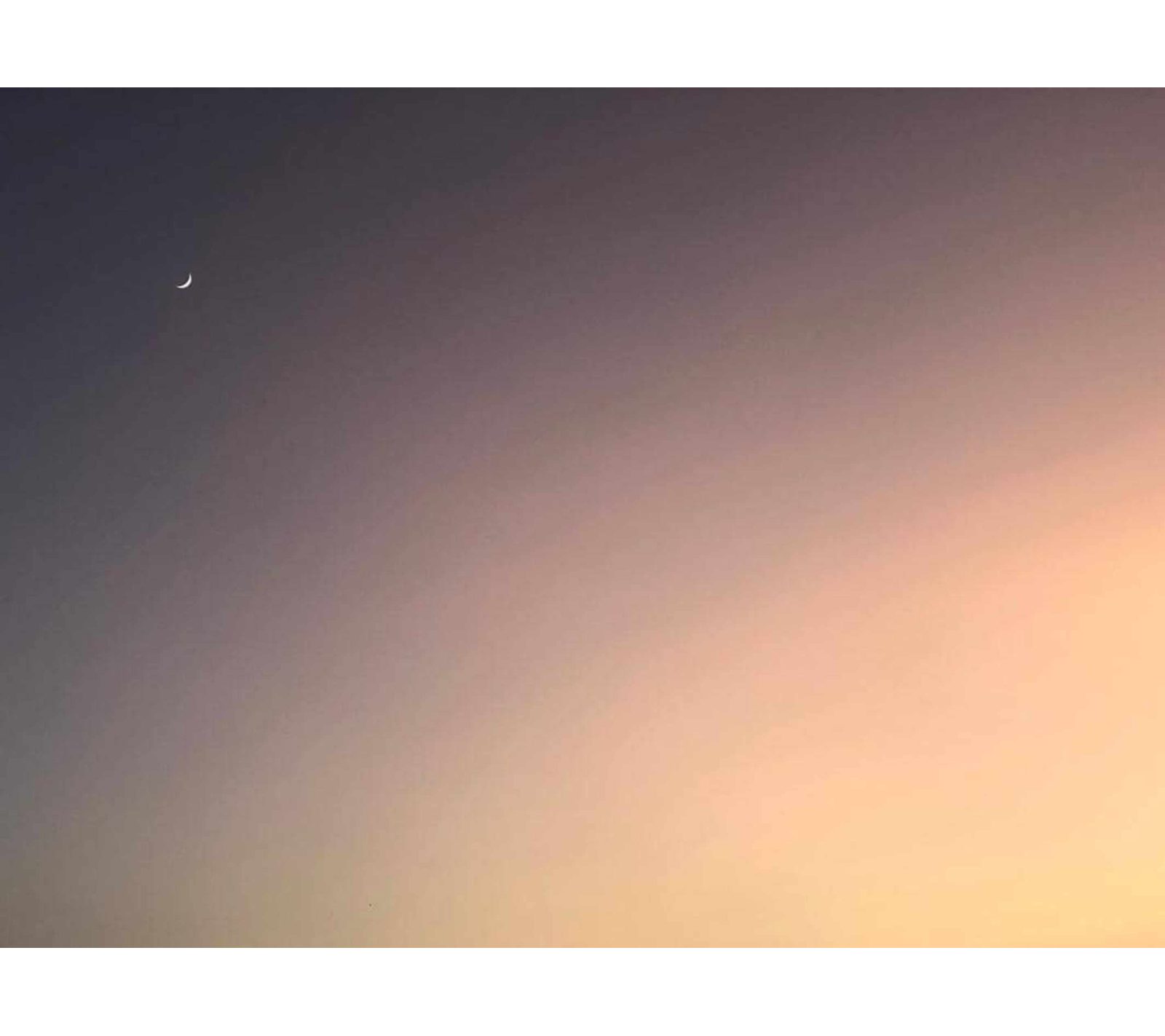 Tilt Your Head and A Subtle Turn / Colors Can See — page 6
