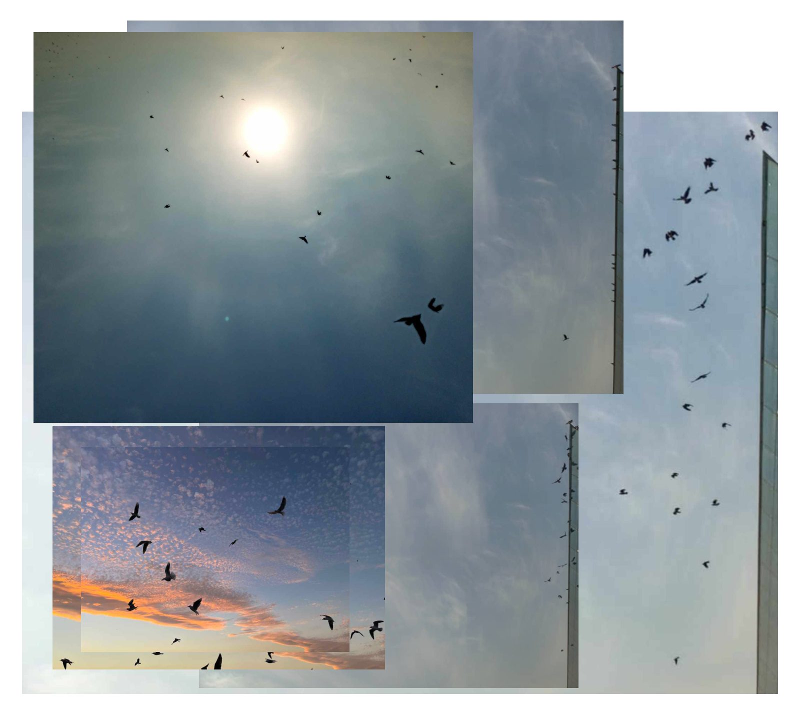 Tilt Your Head and A Subtle Turn / Colors Can See — page 9